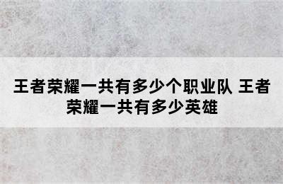 王者荣耀一共有多少个职业队 王者荣耀一共有多少英雄